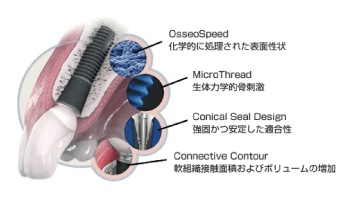 機能性、審美性にすぐれた構造