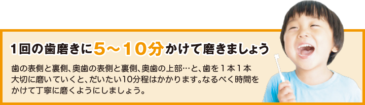 1回の歯磨きに5〜10分かけて磨きましょう　歯の表側と裏側、奥歯の表側と裏側、奥歯の上部…と、歯を１本１本大切に磨いていくと、だいたい10分程はかかります。なるべく時間をかけて丁寧に磨くようにしましょう。